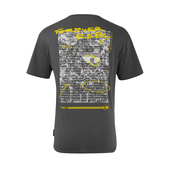 20th Anniversary t-shirt - Cool Grey - Forever REBL image